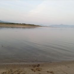 ヒラセイゴ釣れました!