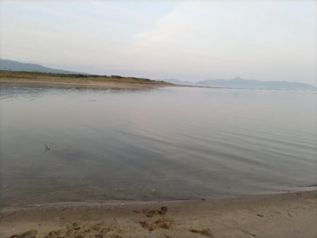 ヒラセイゴ釣れました!