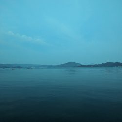 変化はチャンス