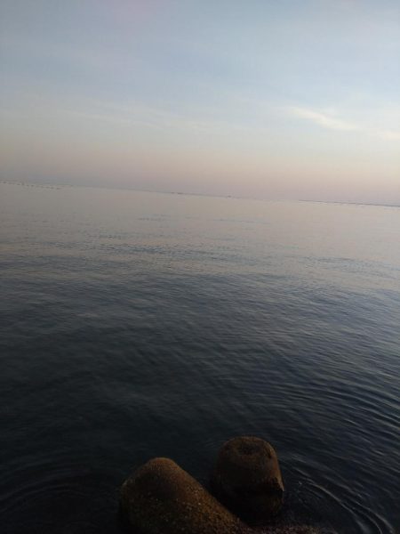 フクラギ２匹！ホタルイカ