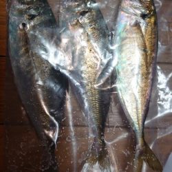 いつもの時間に