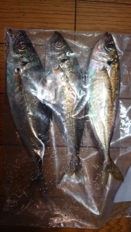 いつもの時間に