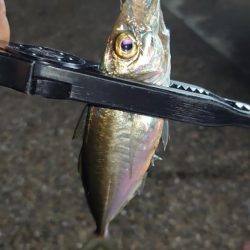 怒る気にも、ならない。