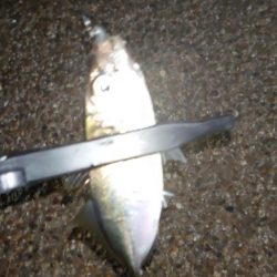 持ってて良かったタングステン！