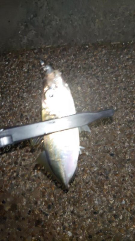 持ってて良かったタングステン！