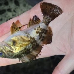 やり続けること◯時間