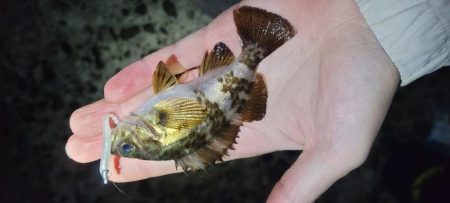 やり続けること◯時間