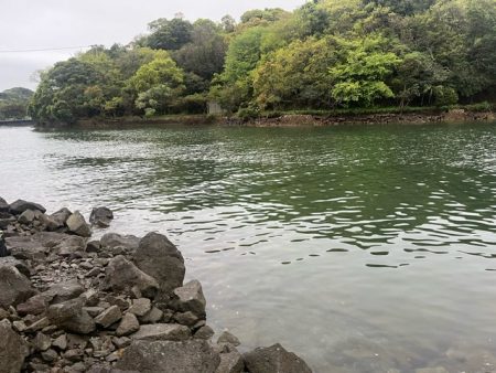 今回の天草ではやっと１匹釣ることが出来ました