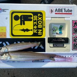 投げ釣りの季節が始まりました