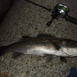 格安ベイトフィネスリールでメバル釣行に