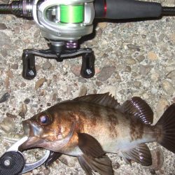 ベストシーズン到来