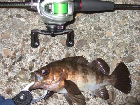 ベストシーズン到来