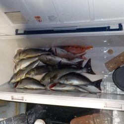 完全フカセ　今シーズン初戦〜倉丸〜