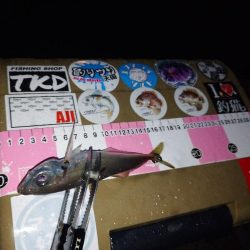 雨の日アジング