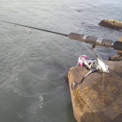 横風の中で流れに身を任せ…