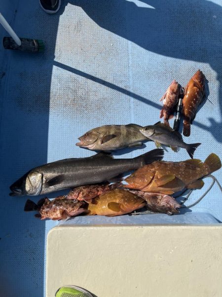 平戸的場大島沖でランカーシーバス