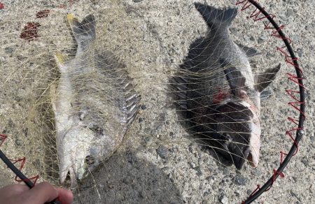 ★★のんびり釣行★★