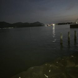 マッチザベイトでシーバス