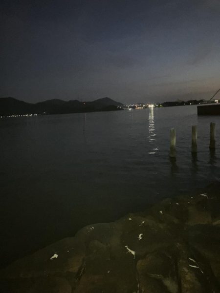 マッチザベイトでシーバス