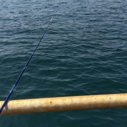 メガフロート淡路　