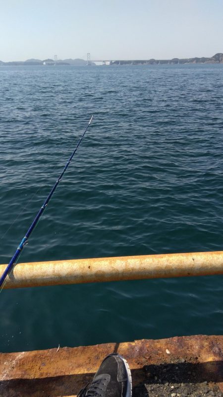 メガフロート淡路　