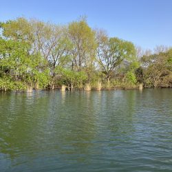 北山田サイト42cm