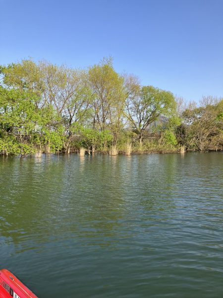 北山田サイト42cm