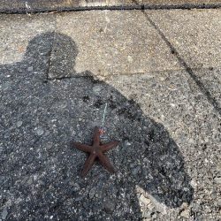 花見カレイ不発！癒しのテンコチ