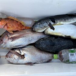 ディープタイラバとジギング