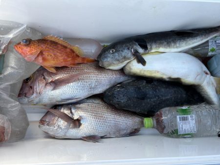 ディープタイラバとジギング