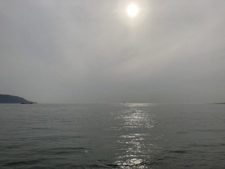 春の伝助アナゴ！