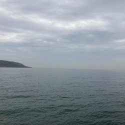 避難訓練と大ボラ