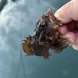 何も釣れないときこそガッシー(^^)