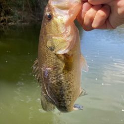 1日ボート釣行！