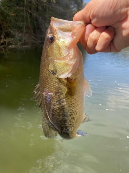 1日ボート釣行！