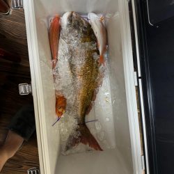 激渋釣行 気合いの一枚