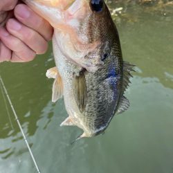 1日ボート釣行！