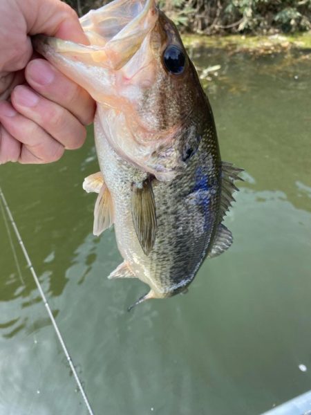 1日ボート釣行！