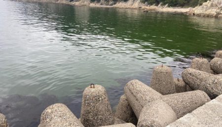 2024シロギスタ初釣行