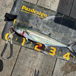 筏シーズン開幕