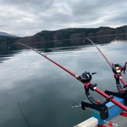 わかさぎ&シナノユキマス釣り