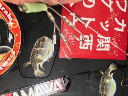 室津のカットウフグ