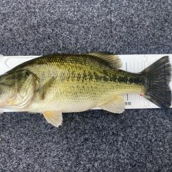 午前中ボート釣行!