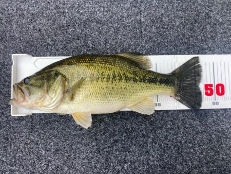 午前中ボート釣行!