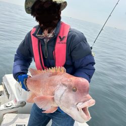 タンコブゲーム2