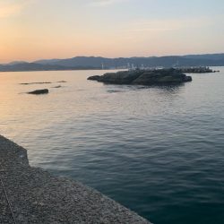 久しぶりの釣り日和