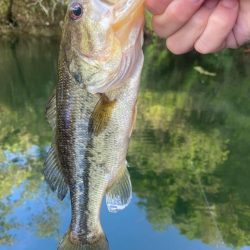 午前中ボート釣行!