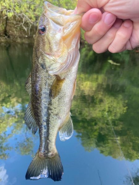 午前中ボート釣行!