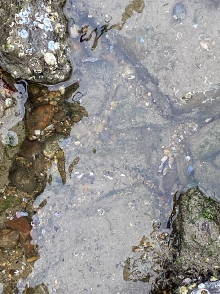 チニング チニング 楽しいな