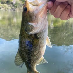 午前中ボート釣行！